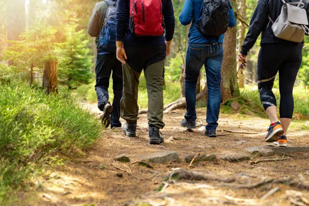 Hiking guides