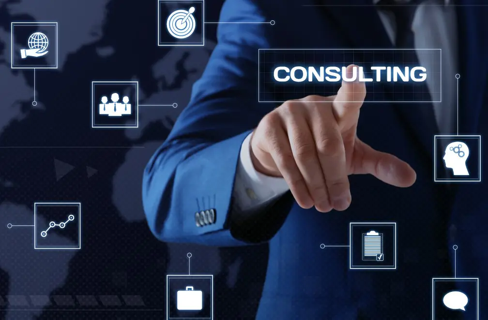 Appian Consulting Services